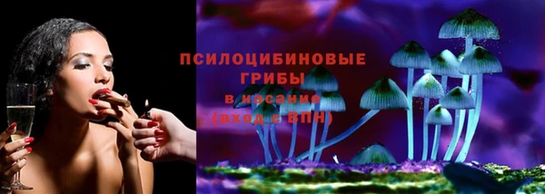 2c-b Беломорск