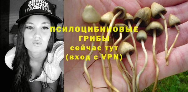 кокаин премиум Белокуриха