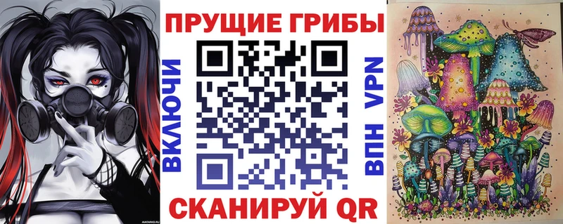 Псилоцибиновые грибы MAGIC MUSHROOMS  blacksprut зеркало  Дальнегорск 