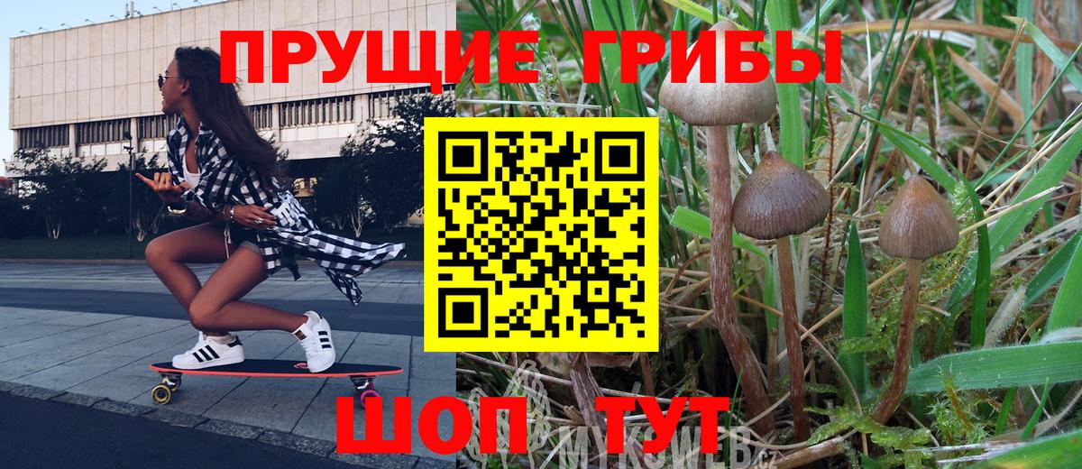 Псилоцибиновые грибы Magic Shrooms  Вход с VPN  Дальнегорск  Галлюциногенные грибы Psilocybe 