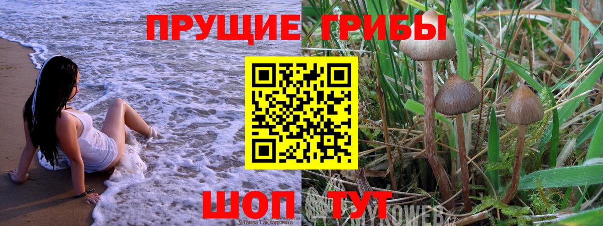 Псилоцибиновые грибы Magic Shrooms Дальнегорск