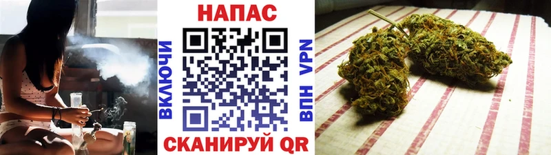 Бошки Шишки гибрид  МЕГА ссылки  Дальнегорск 